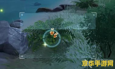 原神福至五彩红色去哪拍 原神福至五彩红色拍摄指南