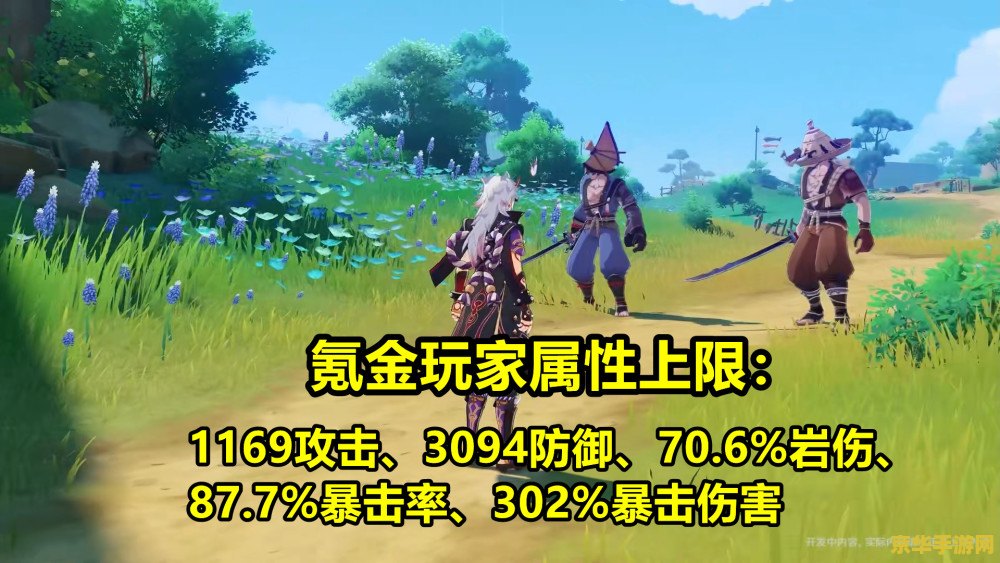 原神一斗秘境怎么上去 原神一斗秘境攻略：如何顺利登顶