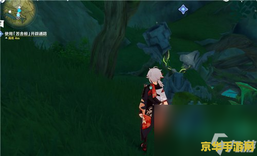 原神全部的神瞳 原神全部的神瞳探索指南