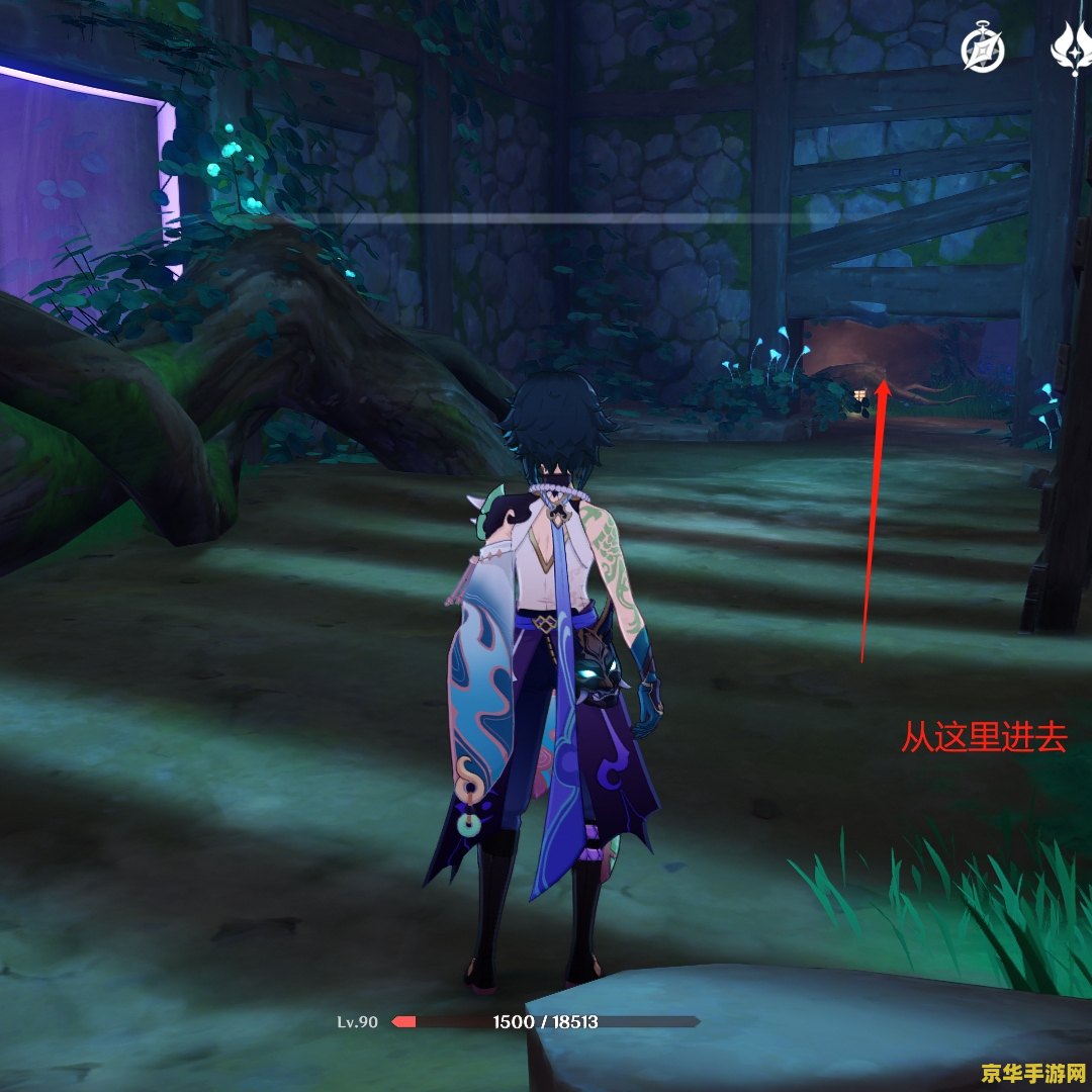 原神绀田事话雷种子怎么捡 原神绀田事话：如何获取雷种子