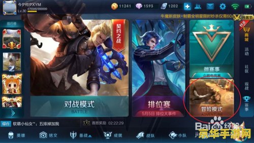 王者荣耀怎么自动刷金币 王者荣耀自动刷金币的方法与注意事项