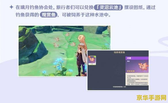 原神钓鱼刷新规则 原神钓鱼刷新规则
