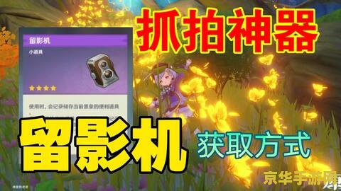 原神留影机任务怎么拍照 原神留影机任务拍照攻略