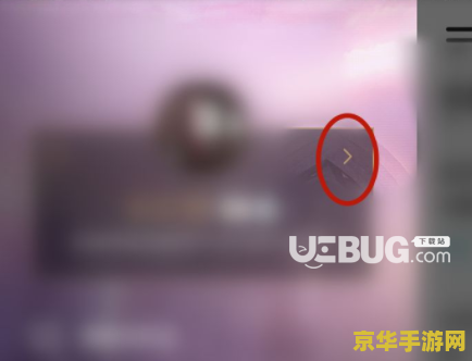 英雄联盟手游有访客记录吗 英雄联盟手游是否有访客记录？