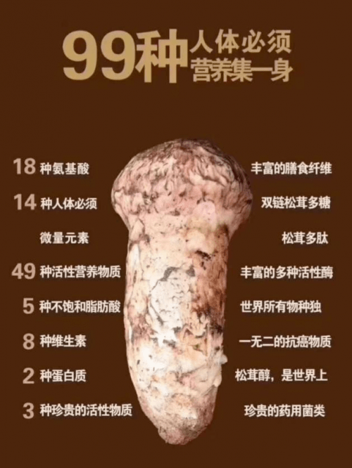 原神松茸 原神中的松茸：珍稀食材与探索乐趣
