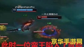 英雄联盟怎么秀狗牌 英雄联盟怎么秀狗牌