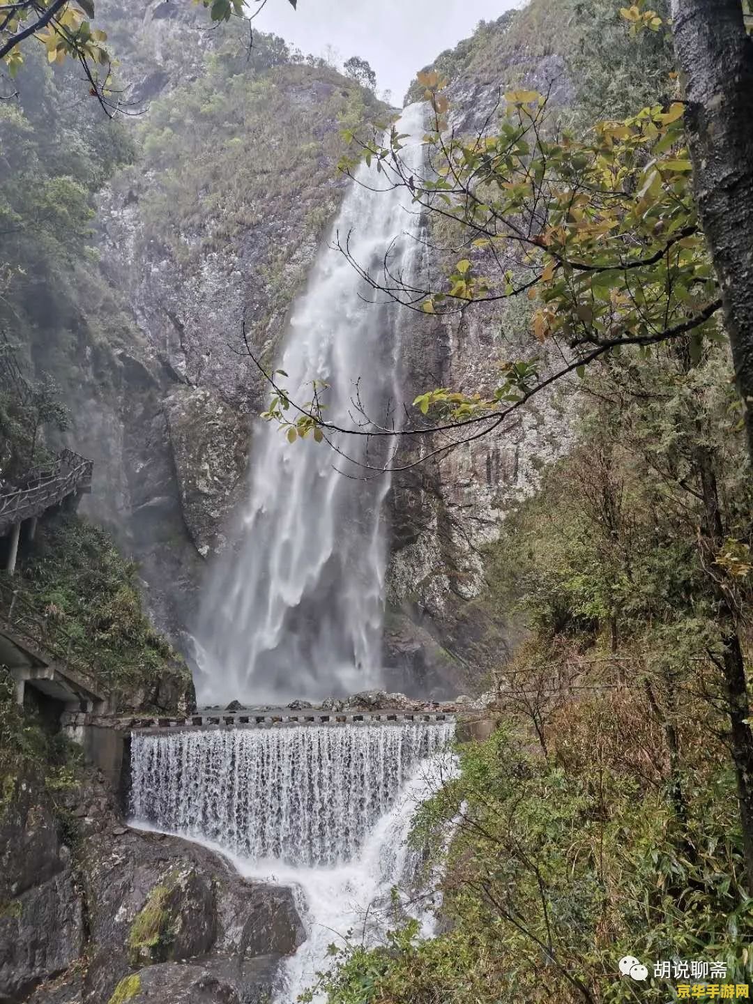 原神镇守之森水潭边带锁的门 原神镇守之森水潭边带锁的门探索解析