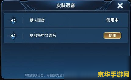 王者荣耀怎么设置自定义文字 王者荣耀如何设置自定义文字