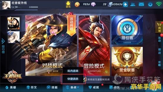 王者荣耀怎么自定义快捷消息 王者荣耀怎么自定义快捷消息