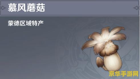原神哪里可以买慕风蘑菇 原神哪里可以买慕风蘑菇