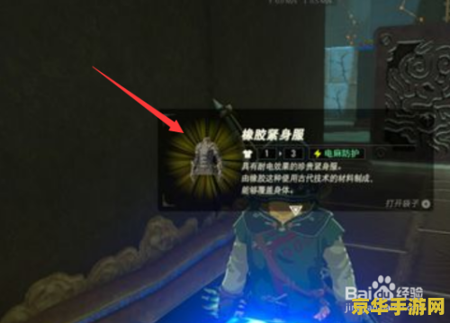 原神雷神殿怎么上去 原神雷神殿怎么上去
