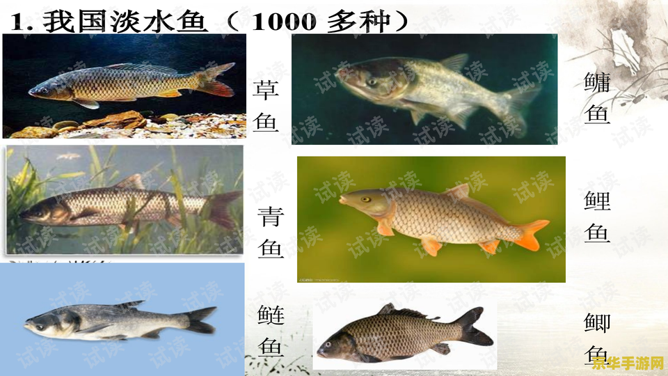 原神各种鱼有什么用 原神各种鱼的用途分析