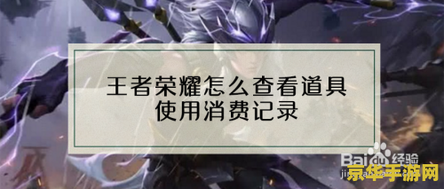 怎么查王者荣耀的消费记录 怎么查王者荣耀的消费记录