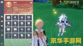 原神蒙德飞行 原神蒙德飞行：翱翔于自由之风的冒险之旅