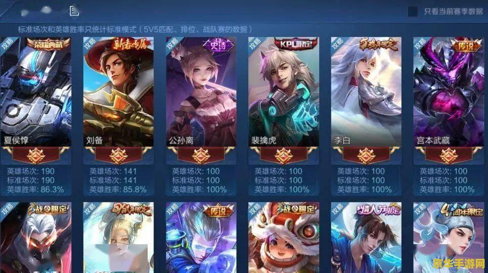 王者荣耀怎么不给别人看 王者荣耀如何保护隐私，避免他人查看