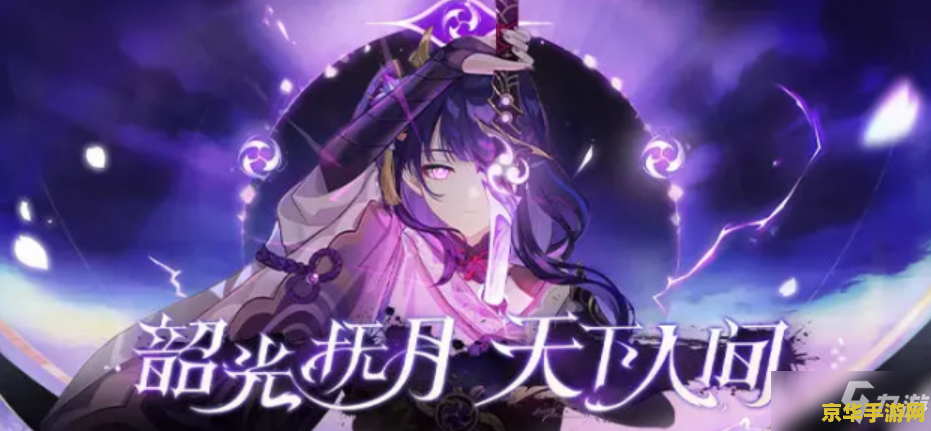 原神雷电将军小本本 原神:雷电将军深度解析 原神雷电将军小本本 原神:雷电将军深度解析