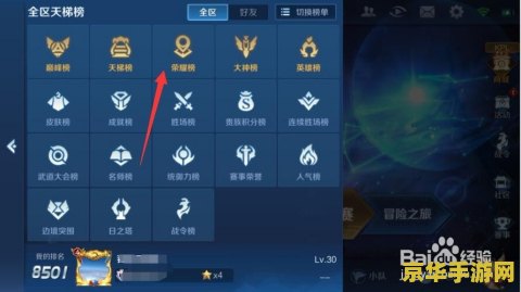 王者荣耀里怎么查询排名 王者荣耀里怎么查询排名