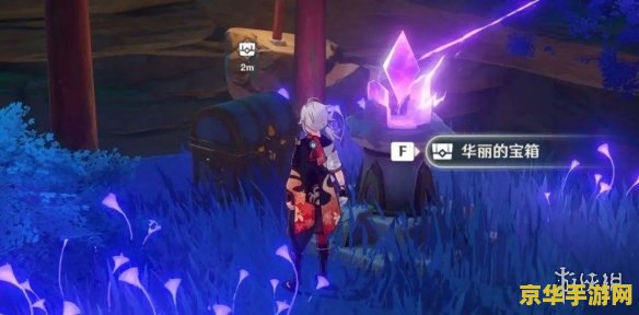 原神稻妻珍贵宝箱 原神稻妻珍贵宝箱探索指南 原神稻妻珍贵宝箱 原神稻妻珍贵宝箱探索指南