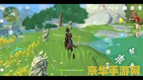 原神任务前往轻策庄的最高处寻找碎片 原神轻策庄最高处碎片探寻之旅