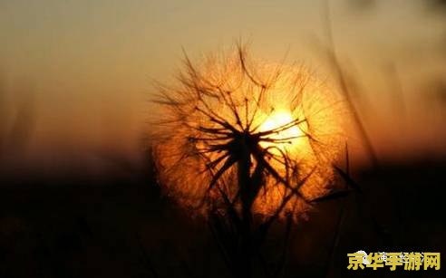 蒲公英刷新位置原神 <h1>蒲公英刷新位置原神解析</h1>