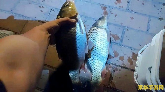 原神钓鱼鱼不咬钩 原神钓鱼挑战：解决“鱼不咬钩”的秘诀