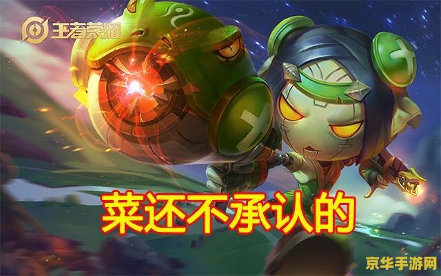 王者荣耀有鸭子怎么搭配 王者荣耀中鸭子元素英雄搭配策略