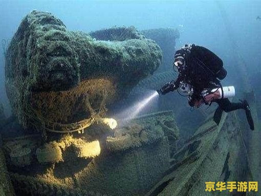 原神沉船的雷种子 原神沉船之谜：探索雷种子的奥秘