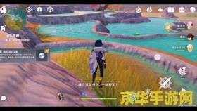 原神遗迹寻找碎片任务奇怪的石头 原神遗迹寻找碎片任务：揭秘奇怪的石头