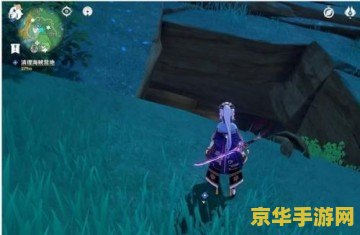 原神中稻妻调查古代遗迹 原神稻妻探索：深入调查古代遗迹之谜