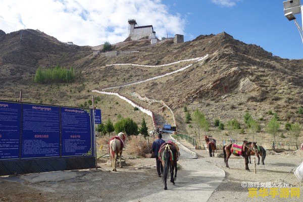 原神雪山矿场 原神雪山矿场深度探索