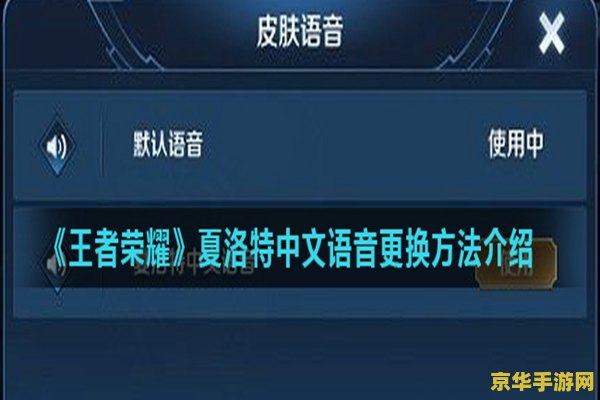 王者荣耀怎么换文字 王者荣耀如何更换文字