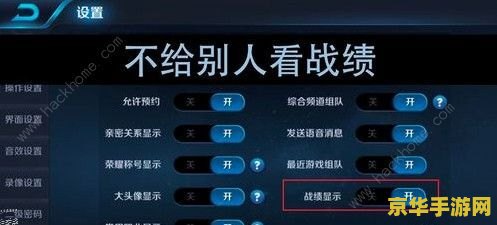 王者荣耀怎么不让别人看历史战绩 王者荣耀怎么不让别人看历史战绩