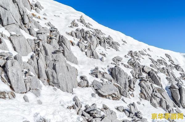 原神雪山松树 原神雪山松树：探索雪域中的生命奇迹