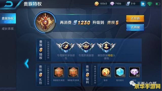 王者荣耀怎么看周金币 王者荣耀怎么看周金币上限及赚取情况