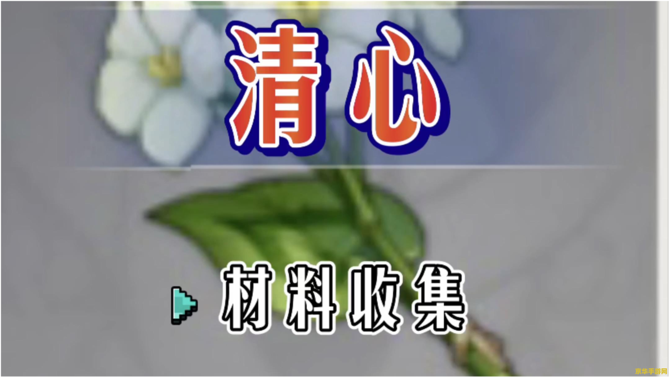 清心原神哪里买 清心原神哪里买