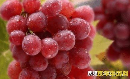 原神为什么什么都没有了 原神为什么感觉“什么都没有了”：深入解析与探讨