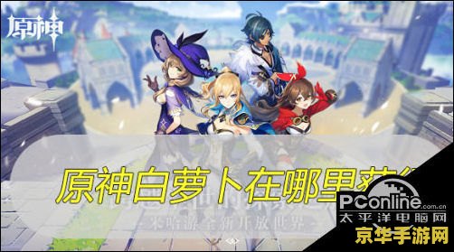 原神白萝卜在哪有 原神白萝卜采集与购买指南