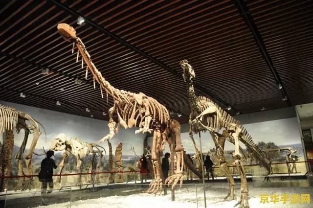 原神古代生物照片 原神古代生物照片探索之旅