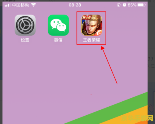 苹果怎么支付王者荣耀失败 苹果支付王者荣耀失败原因及解决方法