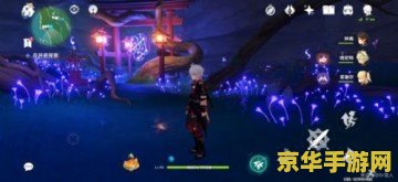 原神在井底探索铁门没有开关 原神井底探索：解锁铁门之谜