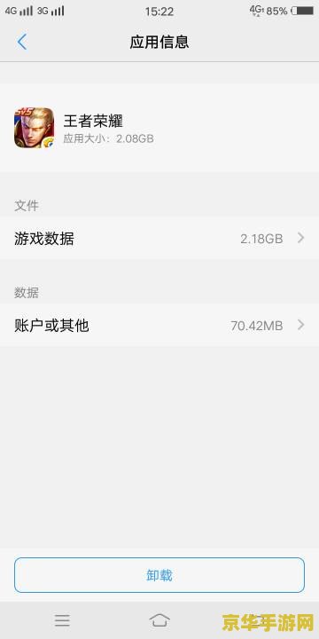 王者荣耀太大 怎么清理数据 王者荣耀太大，如何有效清理数据