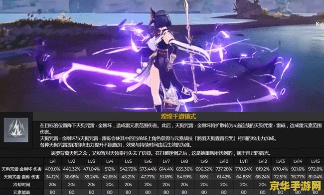 原神九条裟罗紫色圣遗物 原神九条裟罗紫色圣遗物深度解析 原神九条裟罗紫色圣遗物 原神九条裟罗紫色圣遗物深度解析