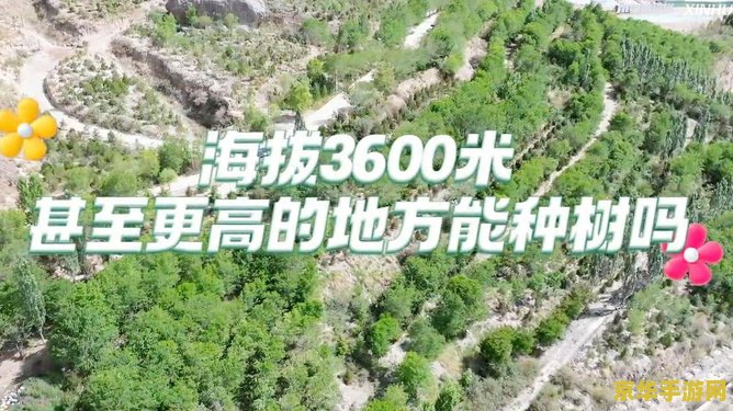 原神灌木石壁在哪 原神灌木石壁位置探索