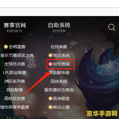 英雄联盟怎么查询别人封号多久 英雄联盟怎么查询别人封号多久
