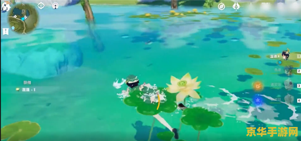 原神中莲蓬 原神中莲蓬的奇妙之旅 原神中莲蓬 原神中莲蓬的奇妙之旅