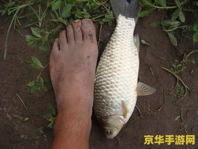 原神钓鱼对应的鱼饵怎么做 原神钓鱼对应的鱼饵怎么做