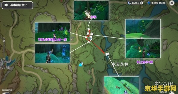 原神树王圣体菇图片 原神树王圣体菇详解