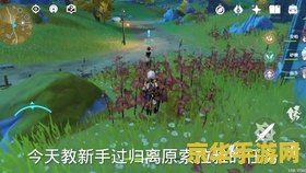 原神索拉雅任务触发不了 原神索拉雅任务触发问题解析