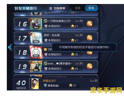 王者荣耀苹果版怎么加安卓好友吗 王者荣耀苹果版如何添加安卓好友