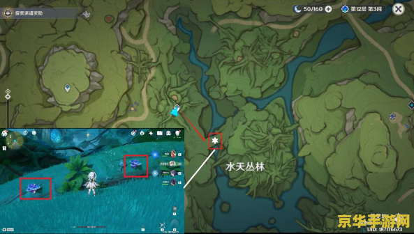 原神在哪里可以买树王圣体菇 原神中树王圣体菇的购买地点